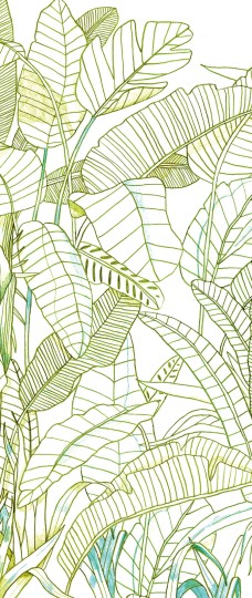 Khroma DG3GRA1013 Wall Designs III Grafite Day - egzotyczny mural w liście