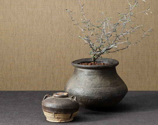 BN 220645 Inspire Grounded - minimalistyczna tapeta z motywem tekstury