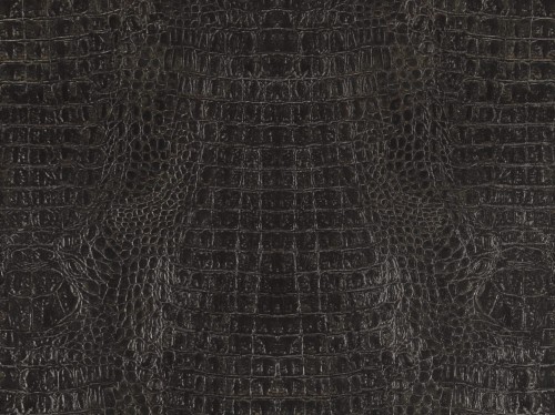 e7a6b4379c21e29cca10e7567029fc18