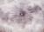 a7da8da7fd501fa4bd1640a4f6f2ddac