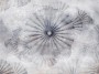 c455f629b4401bba4f4a25d26f1e6ec6
