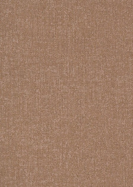 Zoom ADA705 Othello Gaio Ginger - tapeta jednolita