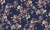 dc1d026a12656c0abda4d70d5d4a7753