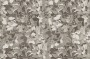 1fce3f7034ffc6da6b5796154ebe46a6