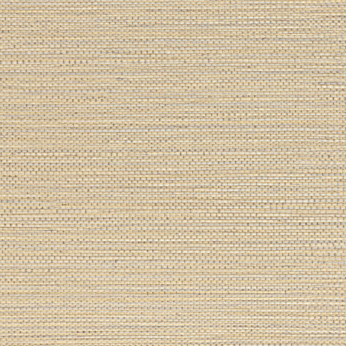 75971630.jpg