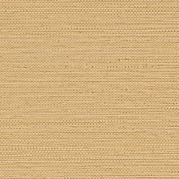 75971936.jpg