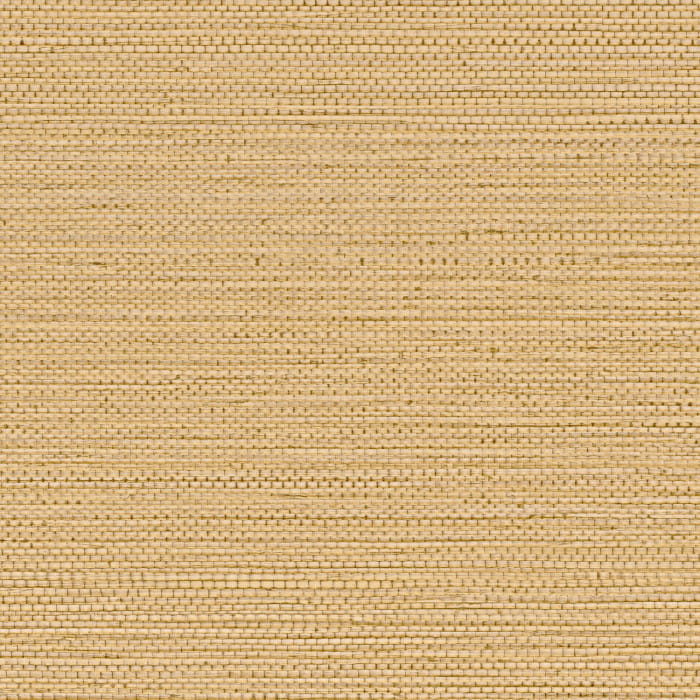 75971936.jpg