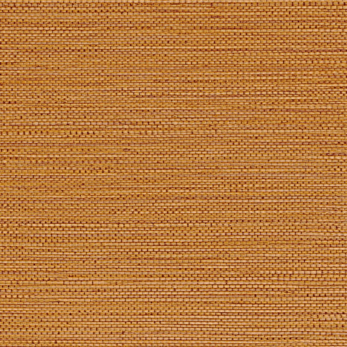 75972038.jpg