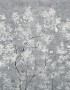 9c351e582013ffb1899c20f13e98c5d7