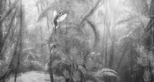 Wall & Deco Contemporary 2023 Visioni WDVI2301 - fototapeta z motywem dżungli i ptaka