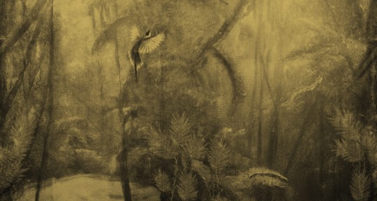 Wall & Deco Contemporary 2023 Visioni WDVI2302 - fototapeta z motywem dżungli i ptaka