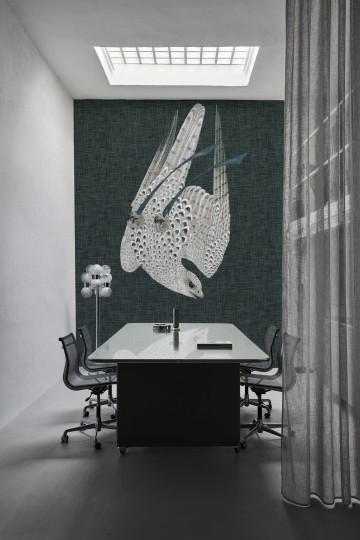 Wall & Deco Contemporary 2023 Hero WDHE2301 - fototapeta z motywem drapieżnego ptaka