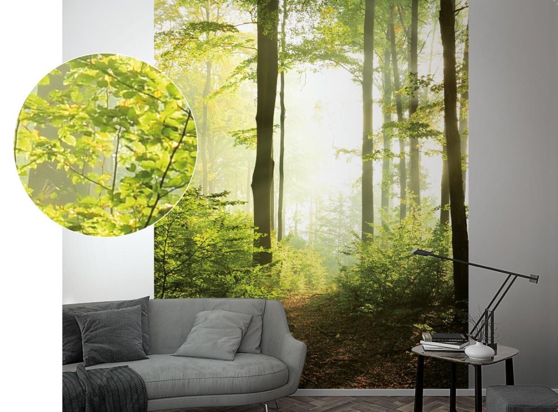 Marburg 47221 Smart Art Easy - mural z motywem lasu