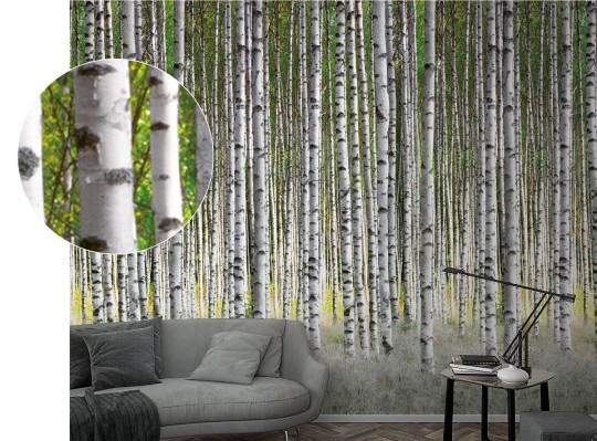 Marburg 47220 Smart Art Easy - mural z motywem lasu