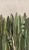 70b571da710a17d97b5fd6ecc4e81a2a