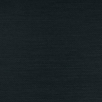 Winylowa-okleina-scienna-RALPH-W-47-05-vinylpex.jpg