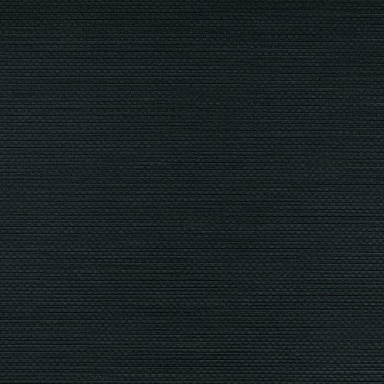 VINYLPEX W47.05 Ralph - tapeta obiektowa tkanina czarna