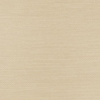 Winylowa-okleina-scienna-RALPH-W-47-82-vinylpex.jpg