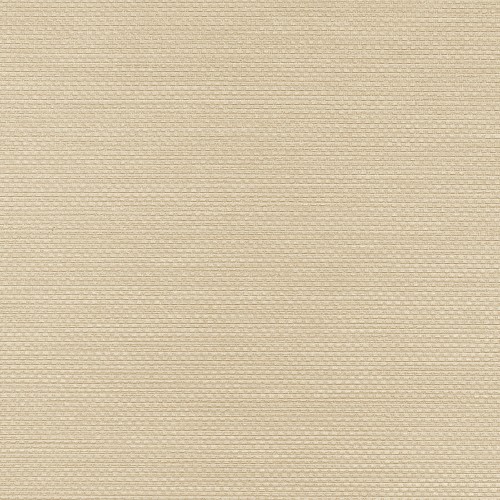 Winylowa-okleina-scienna-RALPH-W-47-82-vinylpex.jpg
