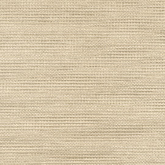 VINYLPEX W47.82 Ralph - tapeta obiektowa tkanina beżowa