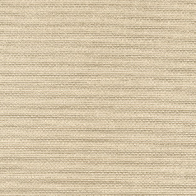 VINYLPEX W47.82 Ralph - tapeta obiektowa tkanina beżowa