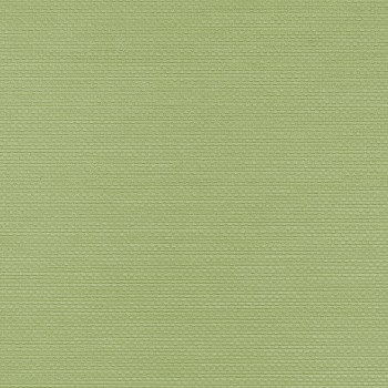 Winylowa-okleina-scienna-RALPH-W-47-172-vinylpex.jpg