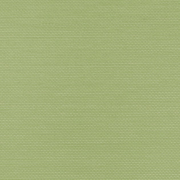 VINYLPEX W47.172 Ralph - tapeta obiektowa tkanina zielona