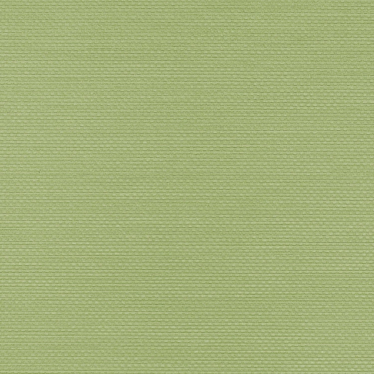 Winylowa-okleina-scienna-RALPH-W-47-172-vinylpex.jpg