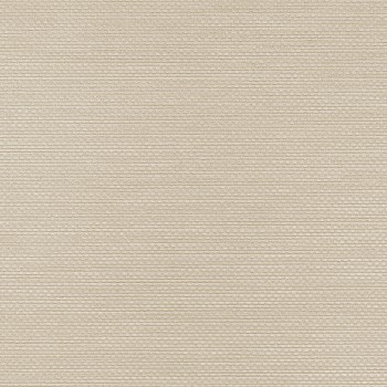 Winylowa-okleina-scienna-RALPH-W-47-379-vinylpex.jpg