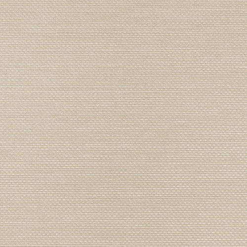 Winylowa-okleina-scienna-RALPH-W-47-379-vinylpex.jpg