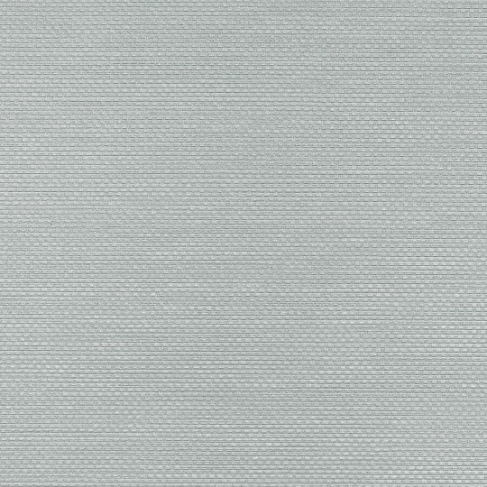 VINYLPEX W47.3766 Ralph - tapeta obiektowa tkanina szara