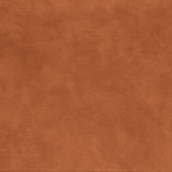 75492752.jpg