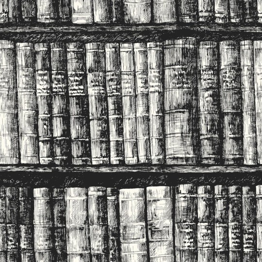 Tapeta York Tailored HO3316 Library Boookshelf