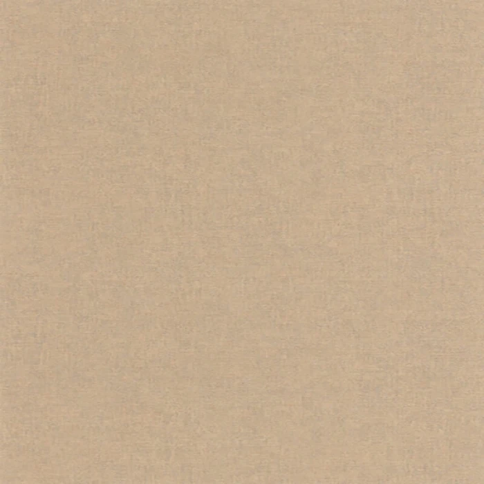 fa509d7cb2b26a73a672d82cb5b0c217