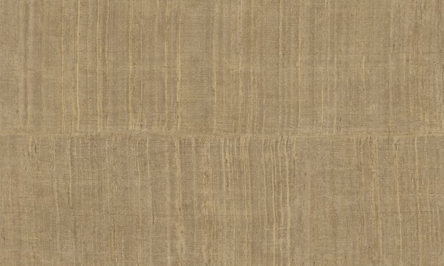 Arte 11501 Alaya Katan Silk Peanut - tapeta imitująca jedwab