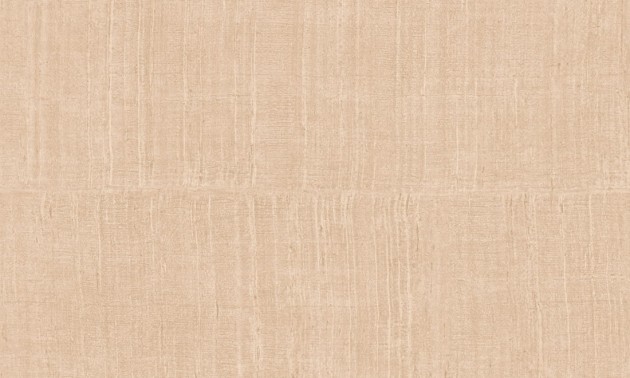Arte 11525 Alaya Katan Silk Nude - tapeta imitująca jedwab