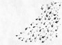 ab4d1e75cb11f4991db328edd4d7d8d6