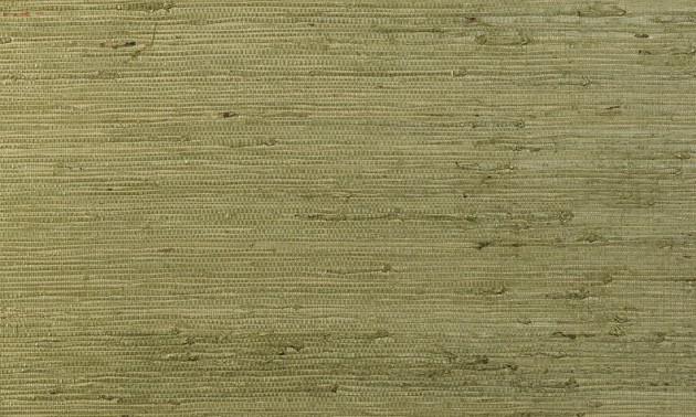 Arte 54530 Osmanthus Kudzu Olive - tapeta z włókien pnącza kudzu