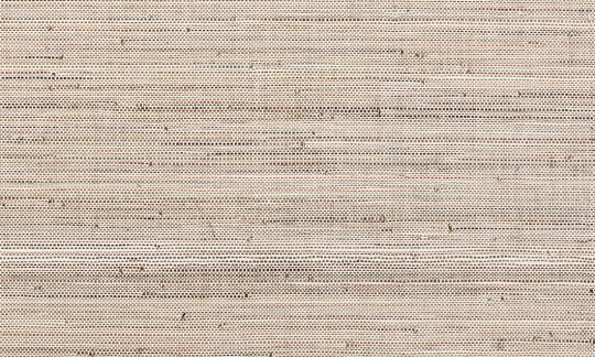 Arte 48023 Les Forets Infini Autumn - tapeta o wzorze cienkiego splotu
