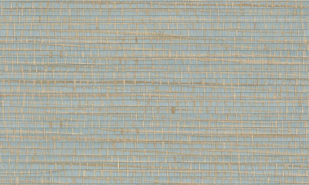 Arte 48073 Les Forets Ruban Skylight - tapeta pleciona z rafii