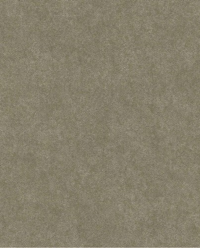 50ea1f4f746d839a2fc5613564169b85