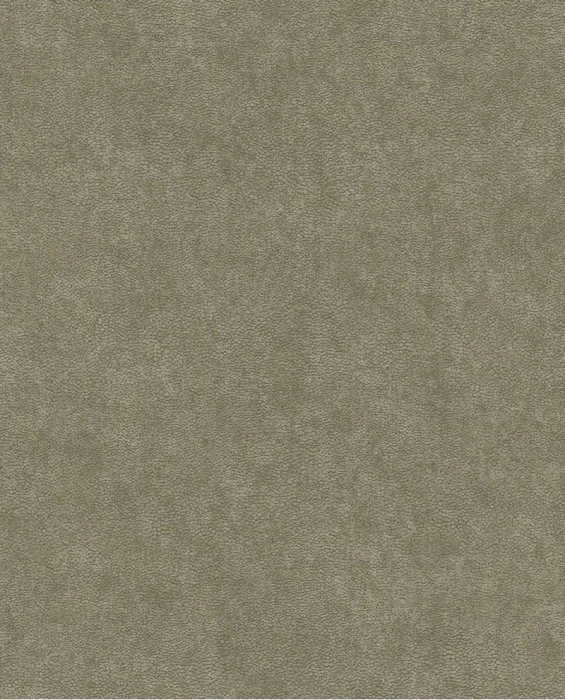 50ea1f4f746d839a2fc5613564169b85