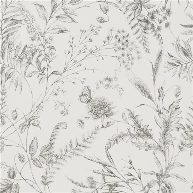 Ralph Lauren PRL710/03 Signature Papers IV Fern Toile Drawing Pencil - tapeta botaniczna