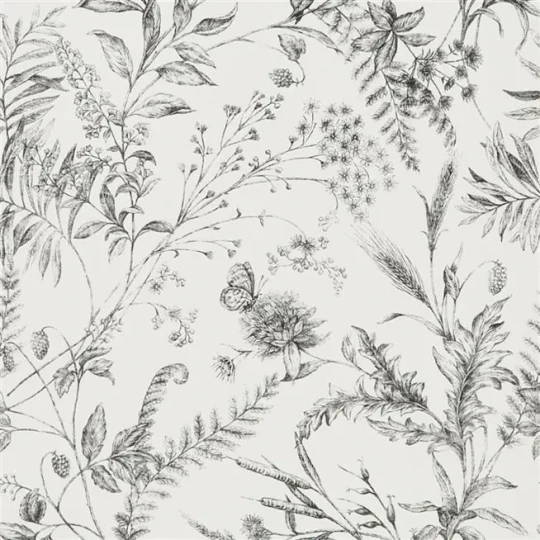 Ralph Lauren PRL710/04 Signature Florals Fern Toile Drawing Etched Black - tapeta botaniczna