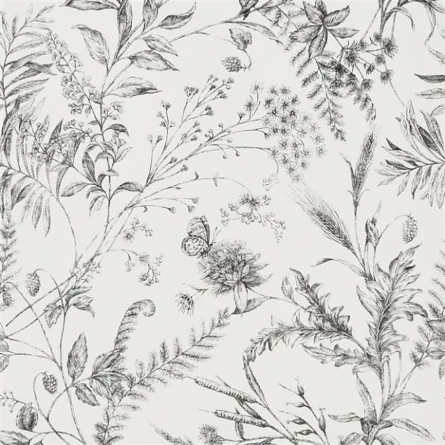 Ralph Lauren PRL710/04 Signature Florals Fern Toile Drawing Etched Black - tapeta botaniczna