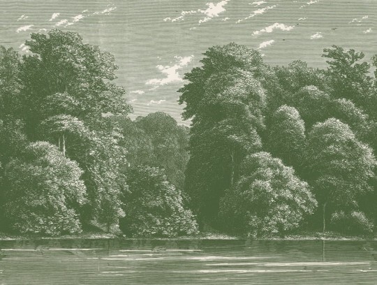 Rebel Walls R19220 Vintage Brocade Spring Season Green - mural leśny