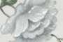d25d794ddb5ccd3b129b2fd7b1dca42c