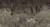 fc7a18639d97609d0bd018d26679d02a