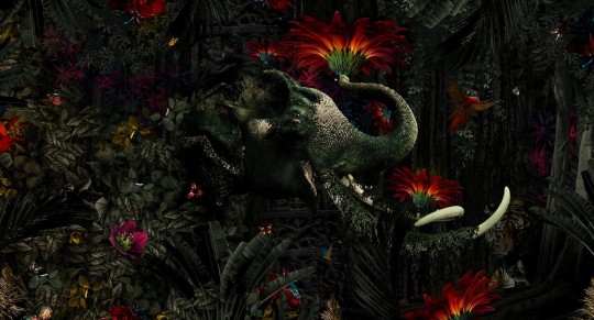 Muance MU13025 Edition 3 Amber Mumba Kanda - tropikalny mural z motywem słonia