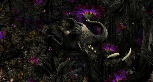 ec0a7017c1160a659ba1ec51e862a05c